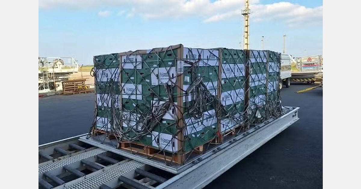 Brazilian fruits hitch a ride on F1 cargo planes to European markets