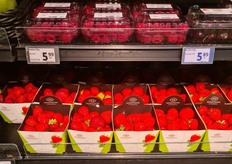 Strawberries from the Hoogstraten cooperative.