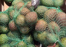 Mehadrin avocados.