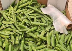 Well-priced sweet peas.