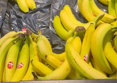 Bananas for 99 cents per kg. Bananas were usually cheap in most stores.