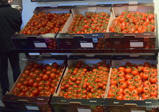 Harvest House introduced the Pearls of Taste line of mini TOVs. The Pearls of Taste come in six types: Sweet Pearl, Roma Pearl, Petit Pearl, Red Pearl, Dolce Pearl, and Primo Pearl. 