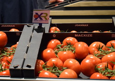 Available soon: Macxize, a large, ToBRFV-resistant TOV from Axia Seeds. 