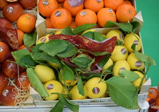 A crate of even fresher-looking lemons with leaves. They are from Sarance Speciale from Sicily.