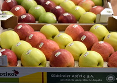 Two colors of South Tyrolean apples.