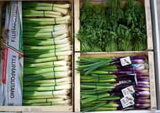 Purple long onions from F.Llinapolitano in Italy. 