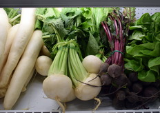 From Italy's AgroPontino: radishes and beet varieties in bushels with their foliage still attached.