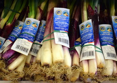 More purple spring onions, this time from Vivaio Santacroce Domenico. 