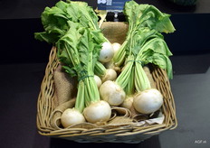 A bushel of sweet white kohlrabi from Oishiinippon.