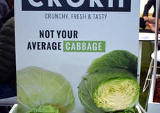 Takii Seed's crunchy white cabbage. 