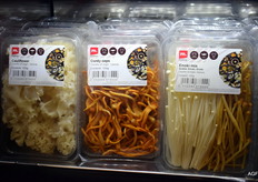 When it comes to exotic mushrooms, there is always something new: cauliflower, cordy ceps, and enoki mix at Mitrofresh.