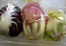 Italy's Geofur's three unusual chicory varieties.