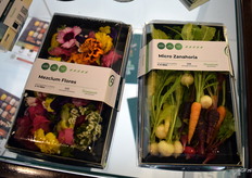 These mixed micro vegetables and mesclun flower mixes from Germinarte are works of art.