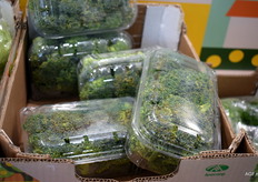 Grapes? No, a punnet brimming with broccoli florets at Anecoop.