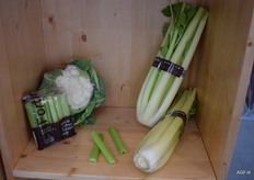 Will short-cut celery stalks become popular snack vegetables too? Fortini Group Growers is betting on it.
