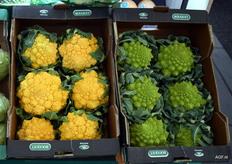 Also on display at Anecoop: yellow Romanesco.