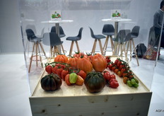 More beautiful tomatoes.