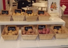 Some of the varieties on display at Germicopa.