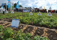 Schaap Holland was also visible outside.