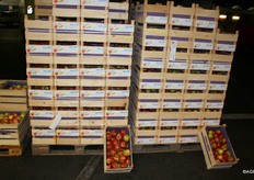 Topfruit from Germany from Hermann Luckert