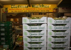 Fresh off the field: ice berg lettuce at Dietmar Walther