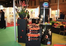 Kanzi is everywhere...