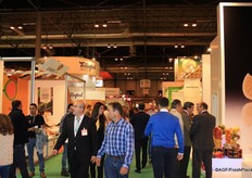 Sometimes it was searching for a stand...