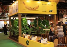 Platano de Canarias, sweet banana from the Canary Islands.