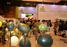 Many different melons in the stand from Rijk Zwaan.
