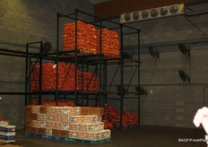 Onions and sweet potatoes