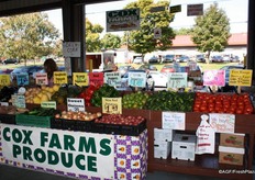 From sweet onions to cucumbers and pumpkins at Cox Farms Produce