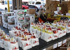 Plenty of Golden Delicious, Jonagold and Red Delicious here as well