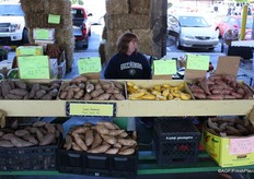 Sweet potato specialist