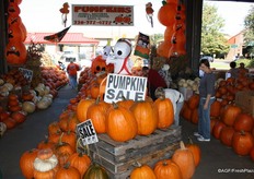 All shapes and sizes