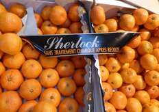 Sherlock mandarins, not chemically treated.
