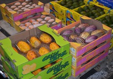 The company is founded in 1970 and is known for its special exotics like kiwano and pepino.