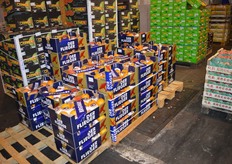 The brand of Luigi di Lenardo GmbH&Co:'Der Flieger'.