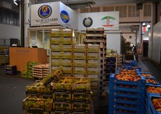 The wholesaler delivers to companies in Germany.