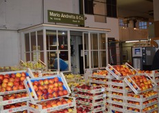 The wholesales imports directly from growers. The most important brand from Mario Andretta is Cantatore.