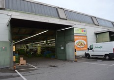 We also taked a look in the 'Gärtnerhalle'. German growers offers their own product here and sell them to different clients.