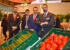 Europol System Spain. Jose Antonio Del Olouo, Jonathan Gonzalez, Janiek Pastor and Miguel Hidalgo.