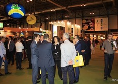 Talking in the corridors.