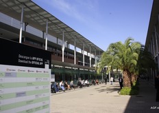 The weather was beautiful, so people enjoyed the sunshine as well.