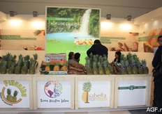 Other companies from Costa Rica.