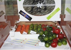 Various new tomato varieties.