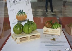 Zigone from Top Seeds.