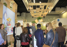 New at Greenyard Frozen: freshly frozen soup. Packaged on small pallets in 1kg bags apiece (5 blocks), which makes it easy to meter out the soup.