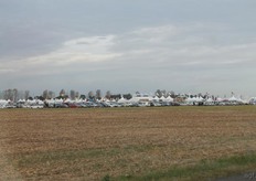 Potato Europe 2012 was held on 12 en 13 September in Villers-Saint-Christophe in France.