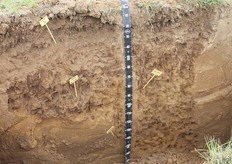 AGRO-Systemes catches the attention of the visitors in their own way.