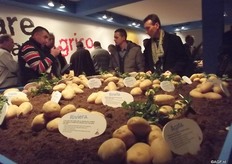 At Agrico, CEO Jan van Hoogen officially opened the variety shows on Thursday the 8th of November. There he explained that the theme of the variety show is Italy at Agrico, because this is a very important market for them. The location has been converted into an Italian museum, inspired by Bologna, the location of their subsidiary Agrico Italië.